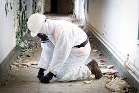 Professional Asbestos Testing: Key to Safe Environments post thumbnail image
